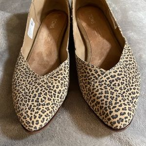 Toms Flats- leopard print